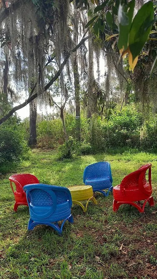 Pinar Del Valle - Camping Y Glamping En كونستانزا
